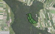 Działka rolna Rudka. Zdjęcie 2