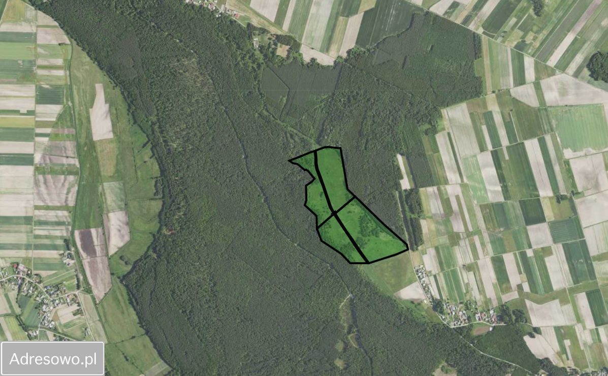 Działka rolna Rudka. Zdjęcie 3