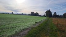 Działka budowlana Dobruchów. Zdjęcie 2