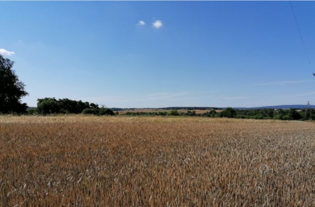 Działka rolna Szyby. Zdjęcie 1