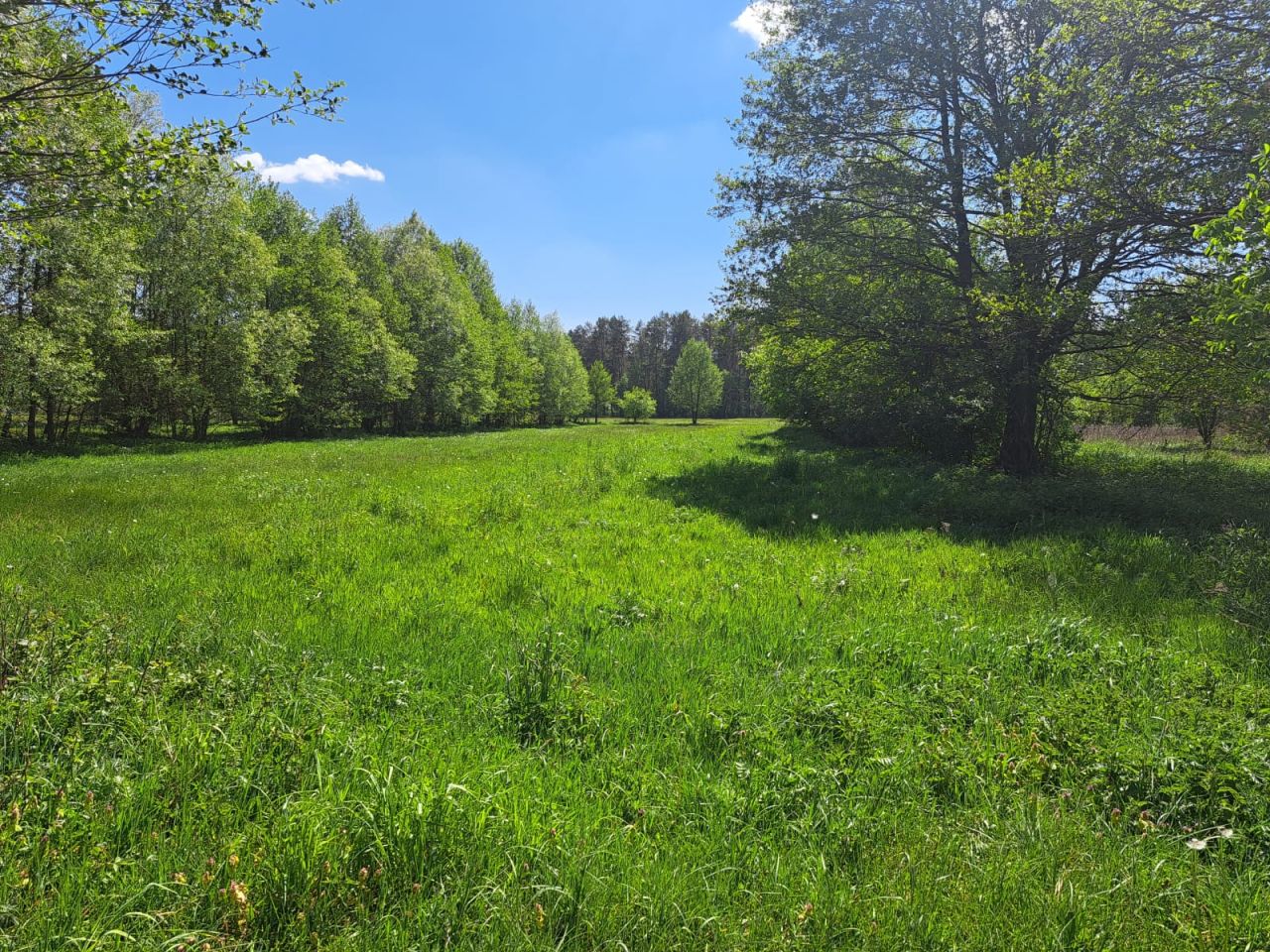 Działka budowlana Kucbork. Zdjęcie 3