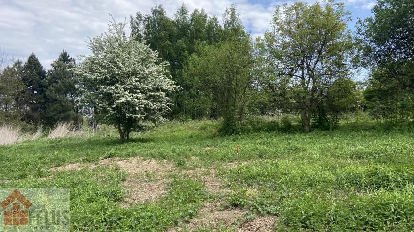 Działka rolno-budowlana Piekary. Zdjęcie 6