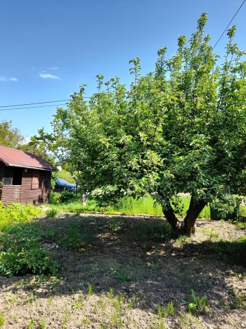 Działka rekreacyjna Ostrowiec Świętokrzyski. Zdjęcie 1