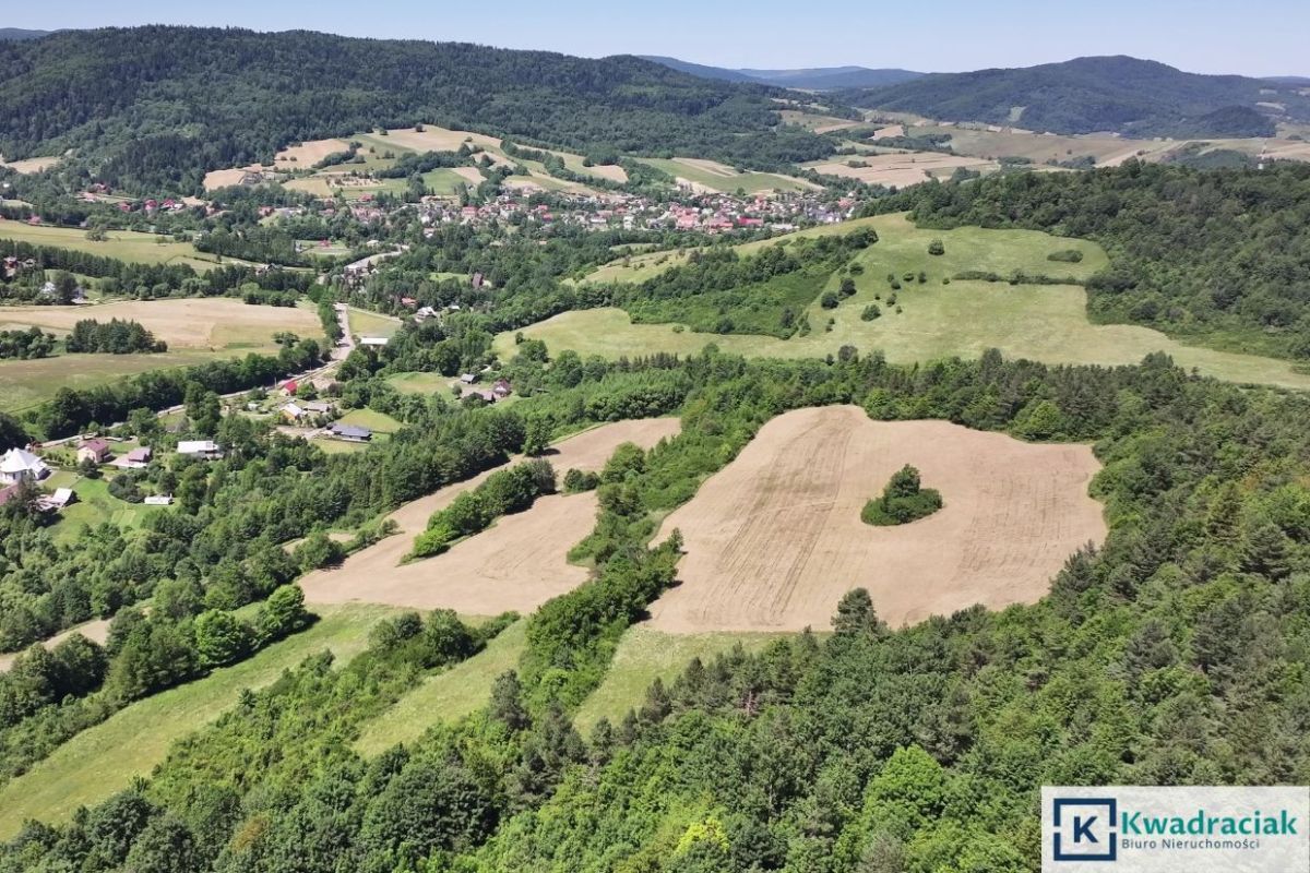 Działka rolna Stężnica. Zdjęcie 4