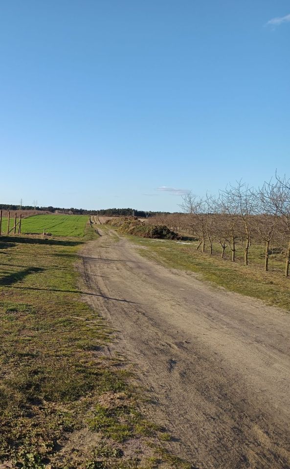 Działka budowlana Równopole. Zdjęcie 6