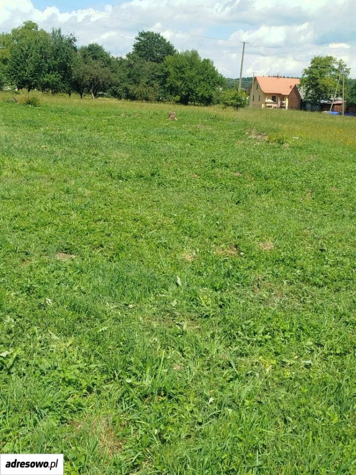 Działka rolno-budowlana Jasionów. Zdjęcie 1