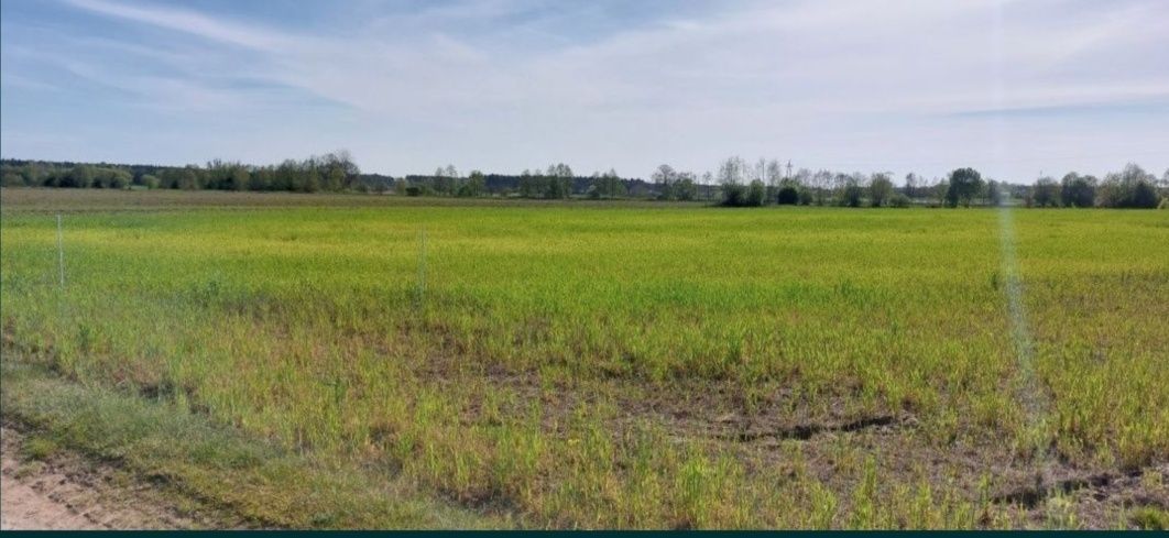 Działka rolna Zławieś Mała. Zdjęcie 2