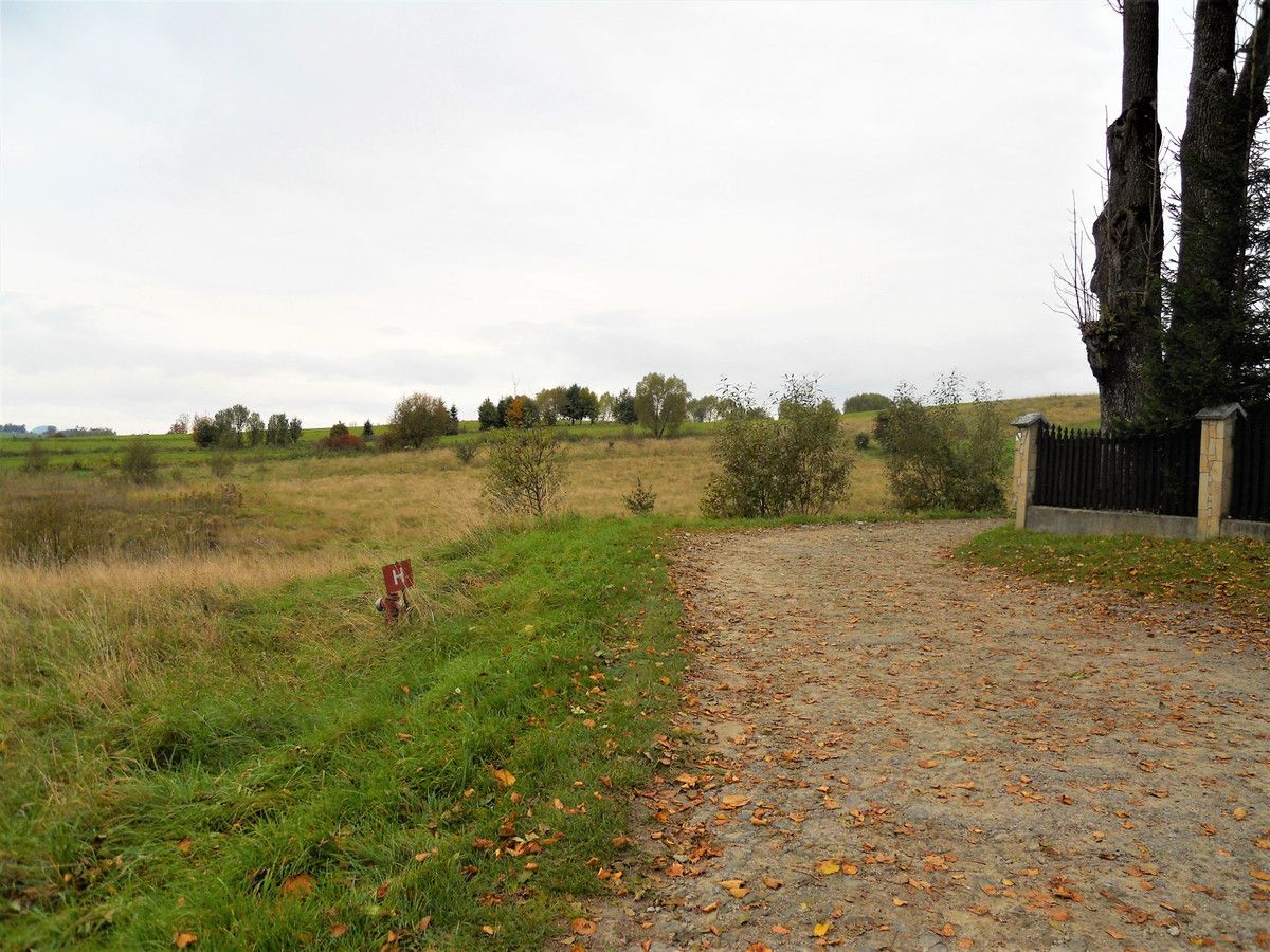 Działka rolno-budowlana Czarna Górna. Zdjęcie 5