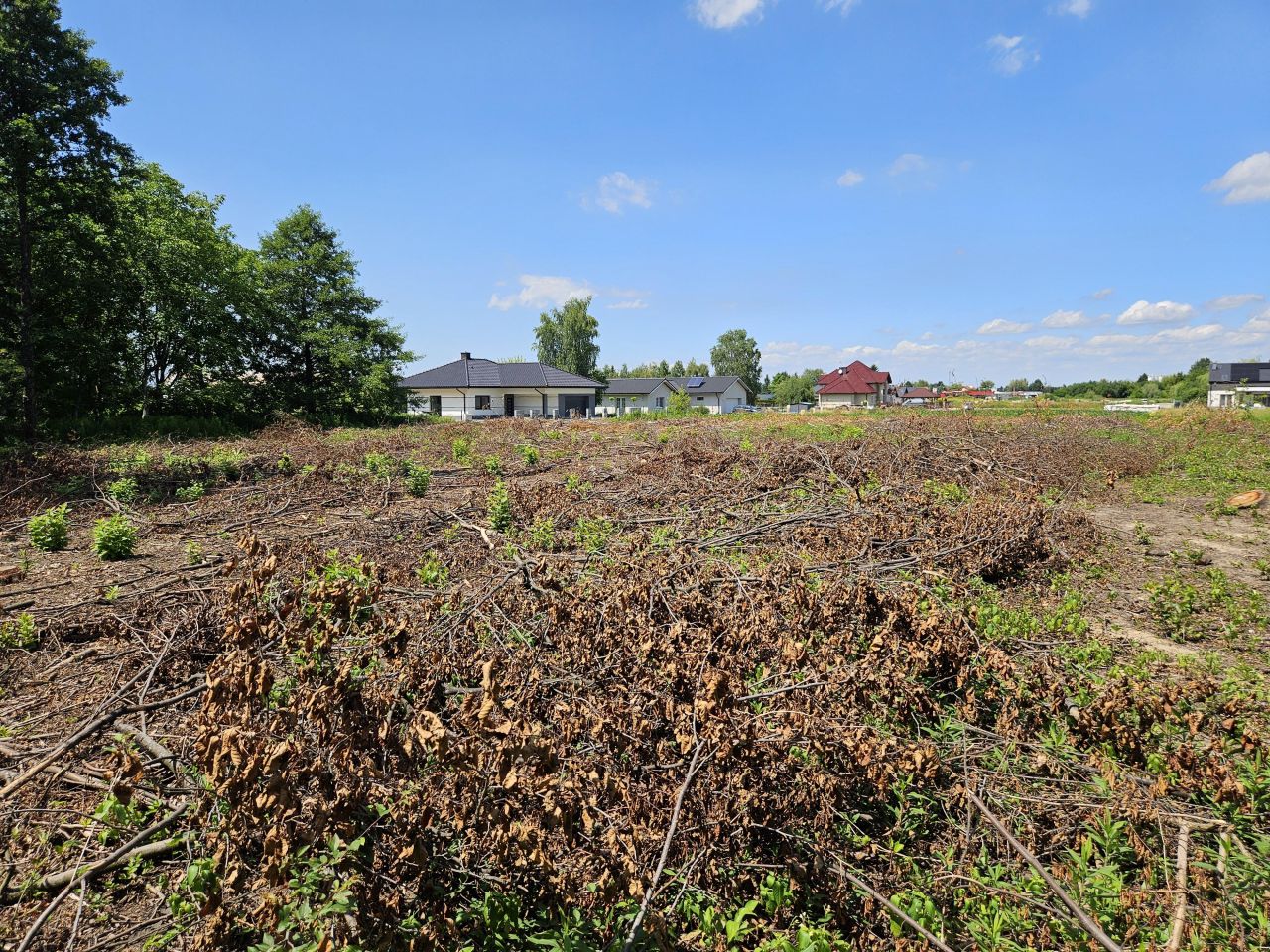 Działka rolna Pustynia. Zdjęcie 4