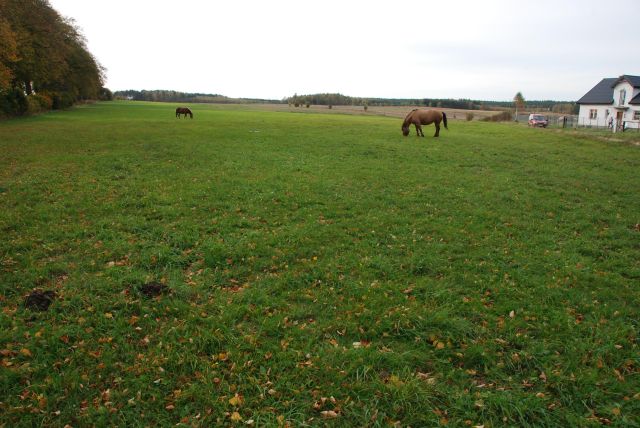 Działka budowlana Módłki. Zdjęcie 7