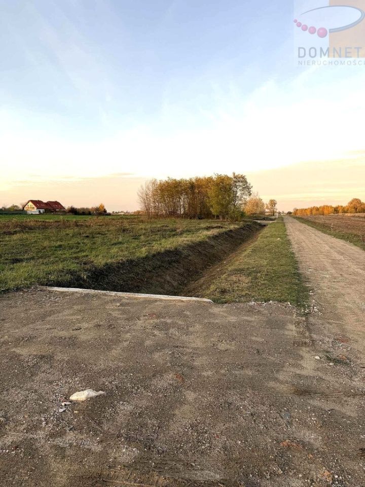 Działka rolna Domaniew, ul. Warsa i Sawy. Zdjęcie 3