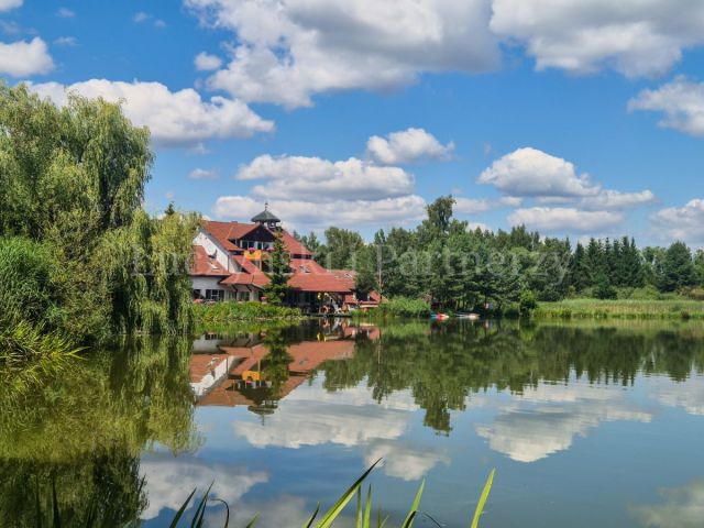 Lokal Gryfów Śląski. Zdjęcie 1