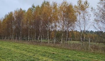 Działka siedliskowa Karlikowo Lęborskie