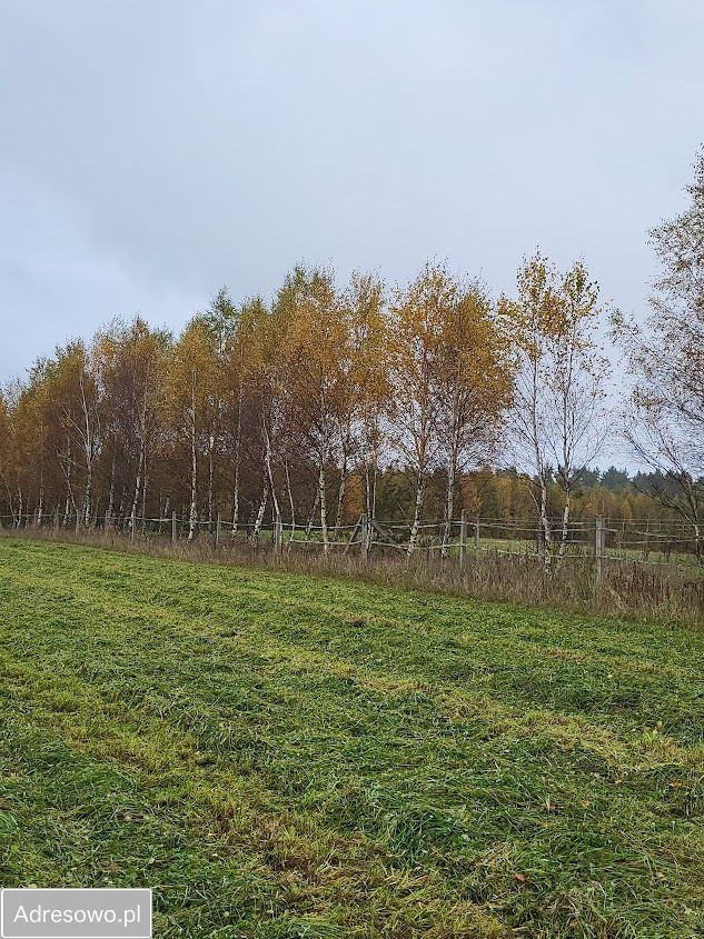 Działka siedliskowa Karlikowo Lęborskie. Zdjęcie 2
