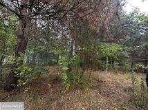 Działka budowlana Skierniewice, ul. Kątna. Zdjęcie 4