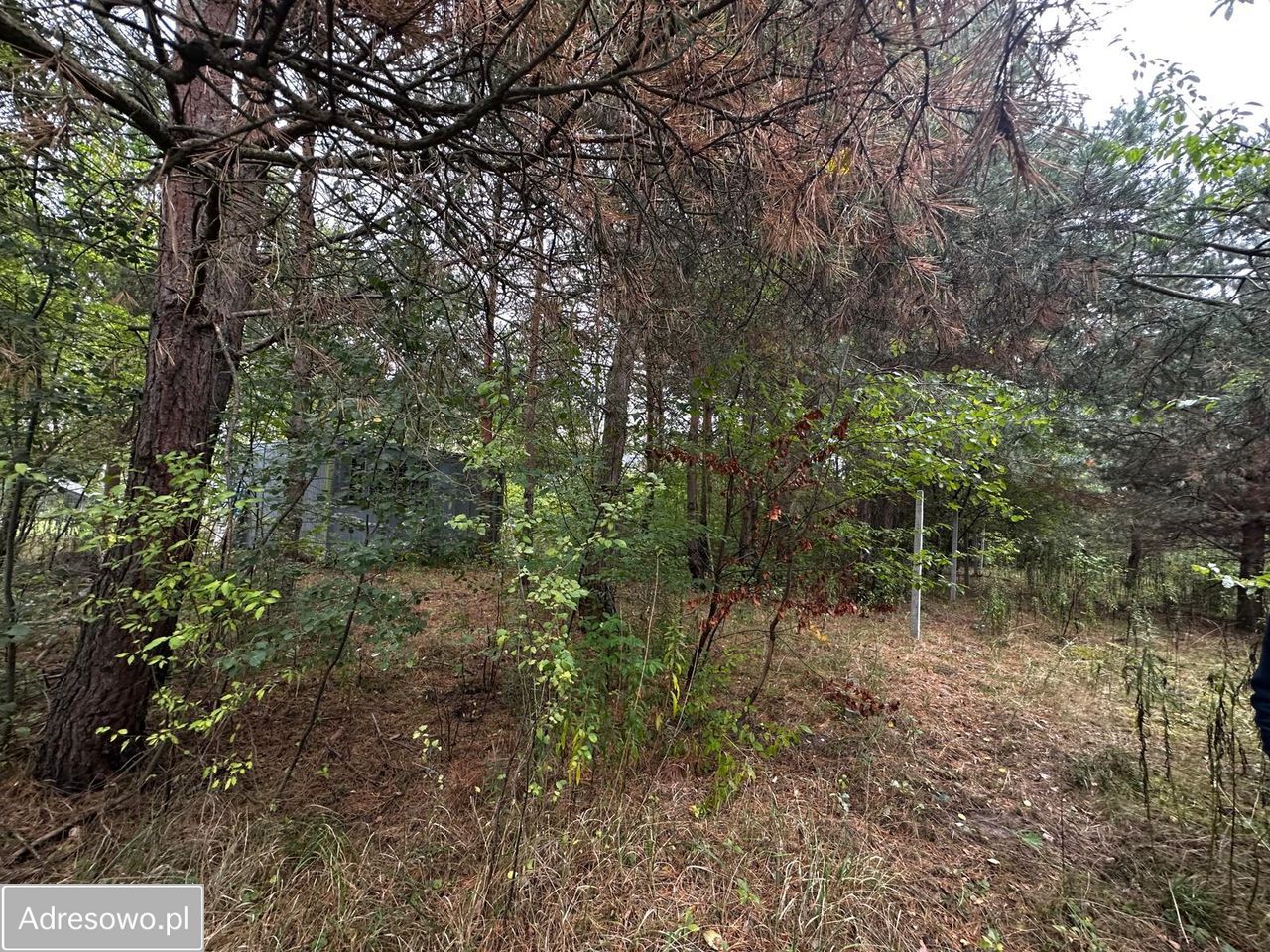 Działka budowlana Skierniewice, ul. Kątna. Zdjęcie 5