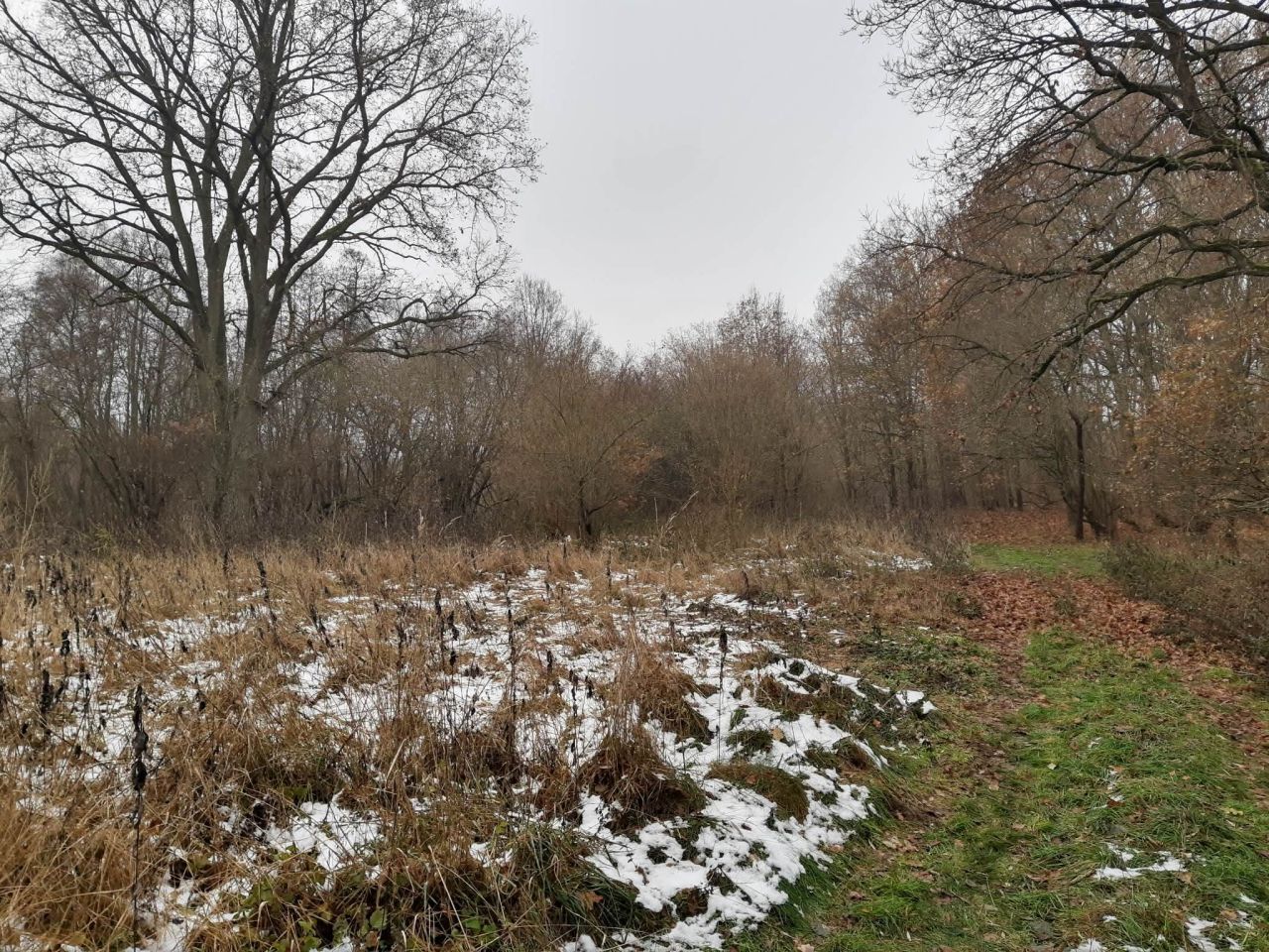 Działka budowlana Gronów. Zdjęcie 14