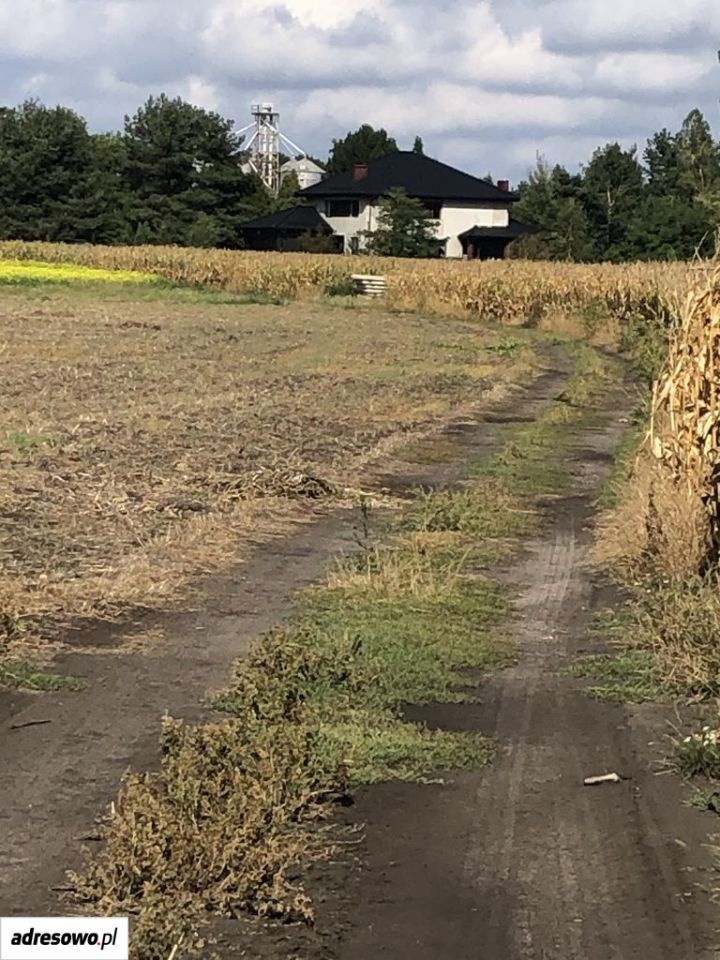 Działka rolna Gliwice Niepaszyce, ul. Podmokła. Zdjęcie 6