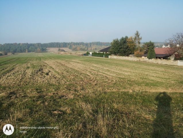 Działka budowlana Zielonczyn, ul. Krótka. Zdjęcie 1
