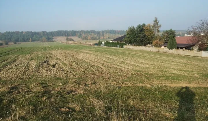 Działka budowlana Zielonczyn, ul. Krótka