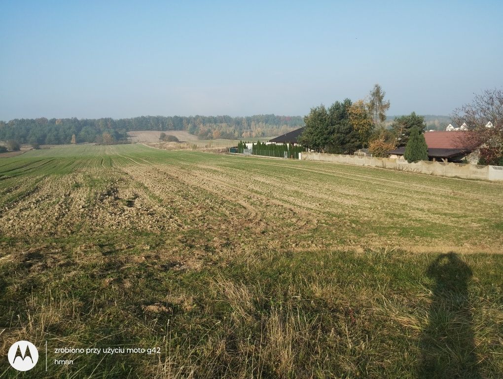Działka budowlana Zielonczyn, ul. Krótka