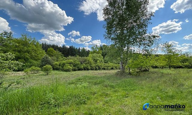 Działka budowlana Dąbrowa Górnicza Sikorka, ul. Czajkowa. Zdjęcie 3