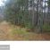 Działka leśna Bartniki, ul. Spokojna. Zdjęcie 5