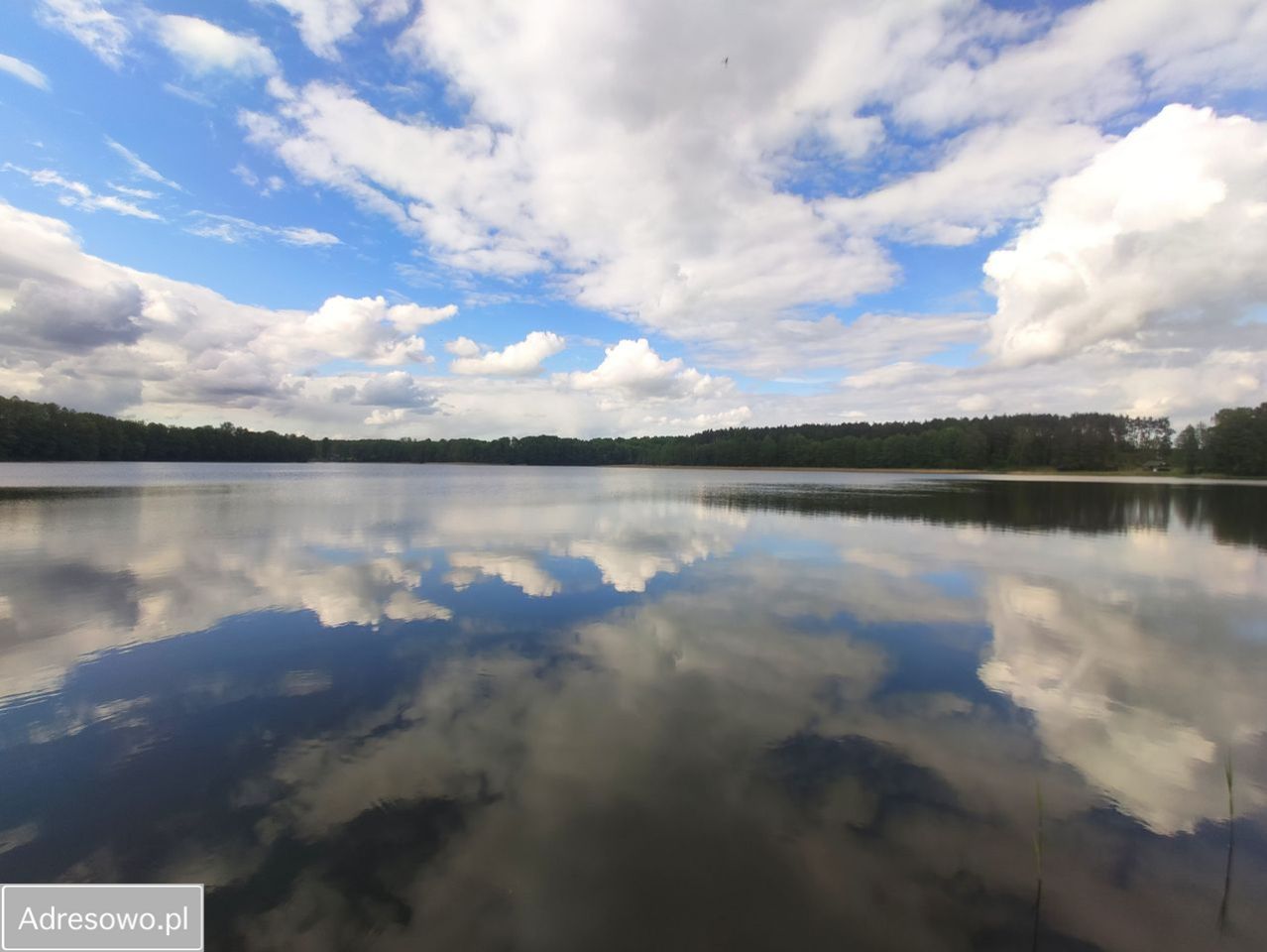 Działka budowlana Łąkie. Zdjęcie 5