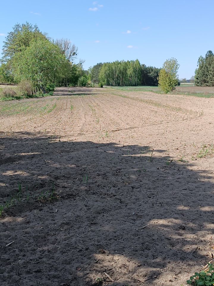 Działka budowlana Kolonia Straszewska. Zdjęcie 10