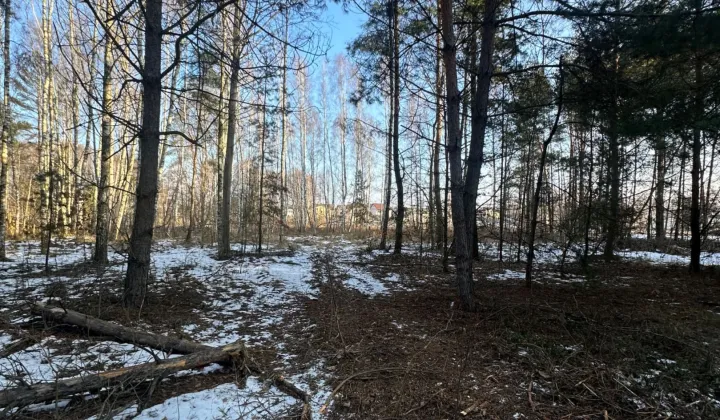 Działka inwestycyjna Dobre