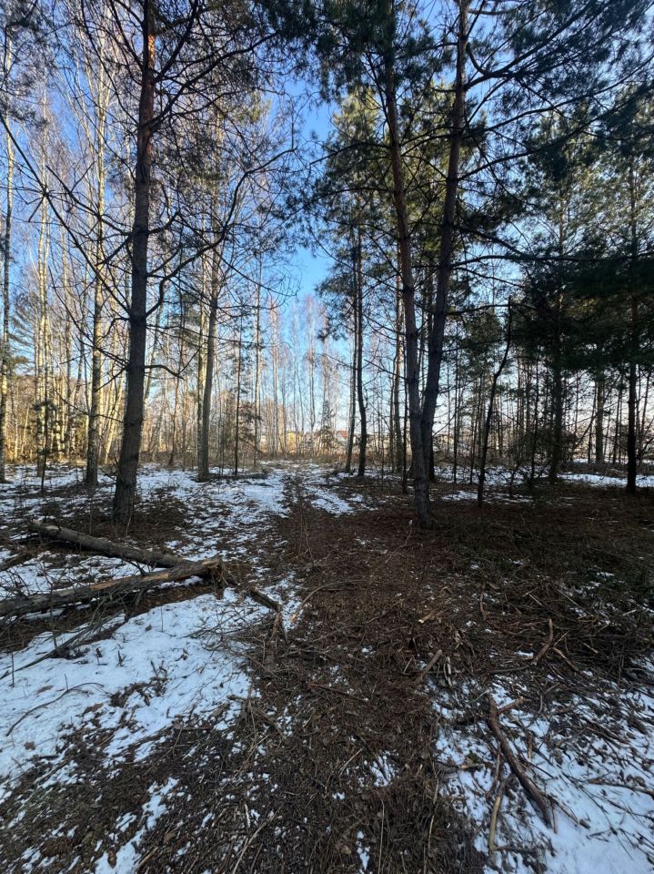 Działka inwestycyjna Dobre. Zdjęcie 1