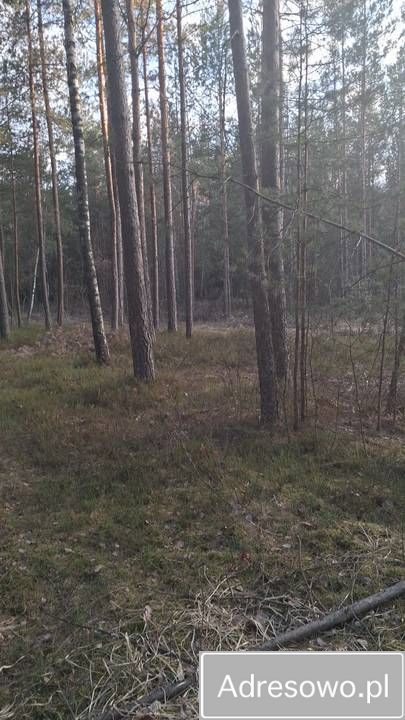 Działka rekreacyjna Karolówka. Zdjęcie 9
