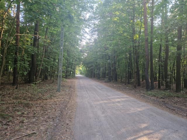 Działka budowlana Zagościniec, ul. Tramwajowa. Zdjęcie 1