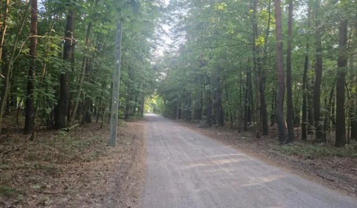 Działka budowlana Zagościniec, ul. Tramwajowa