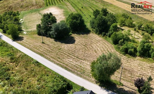 Działka rolno-budowlana Strzałków. Zdjęcie 4