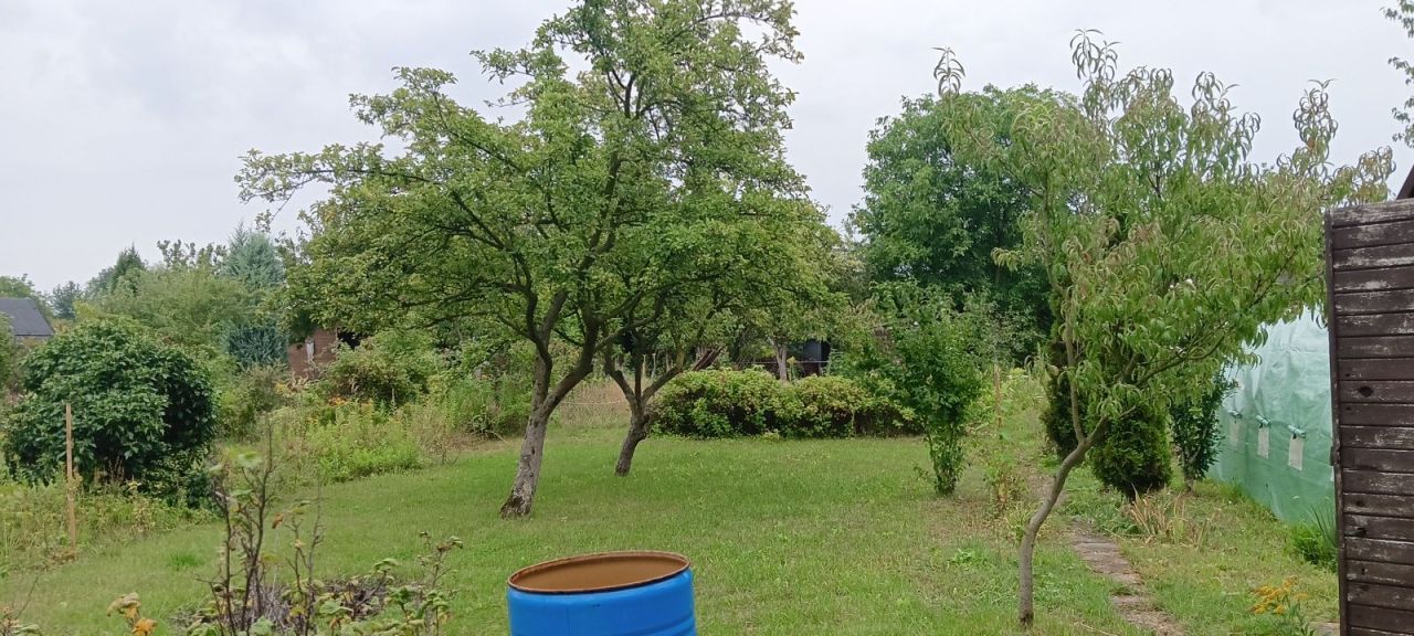 Działka rod Wrocław Ołtaszyn, ul. gen. Stefana Grota-Roweckiego. Zdjęcie 4