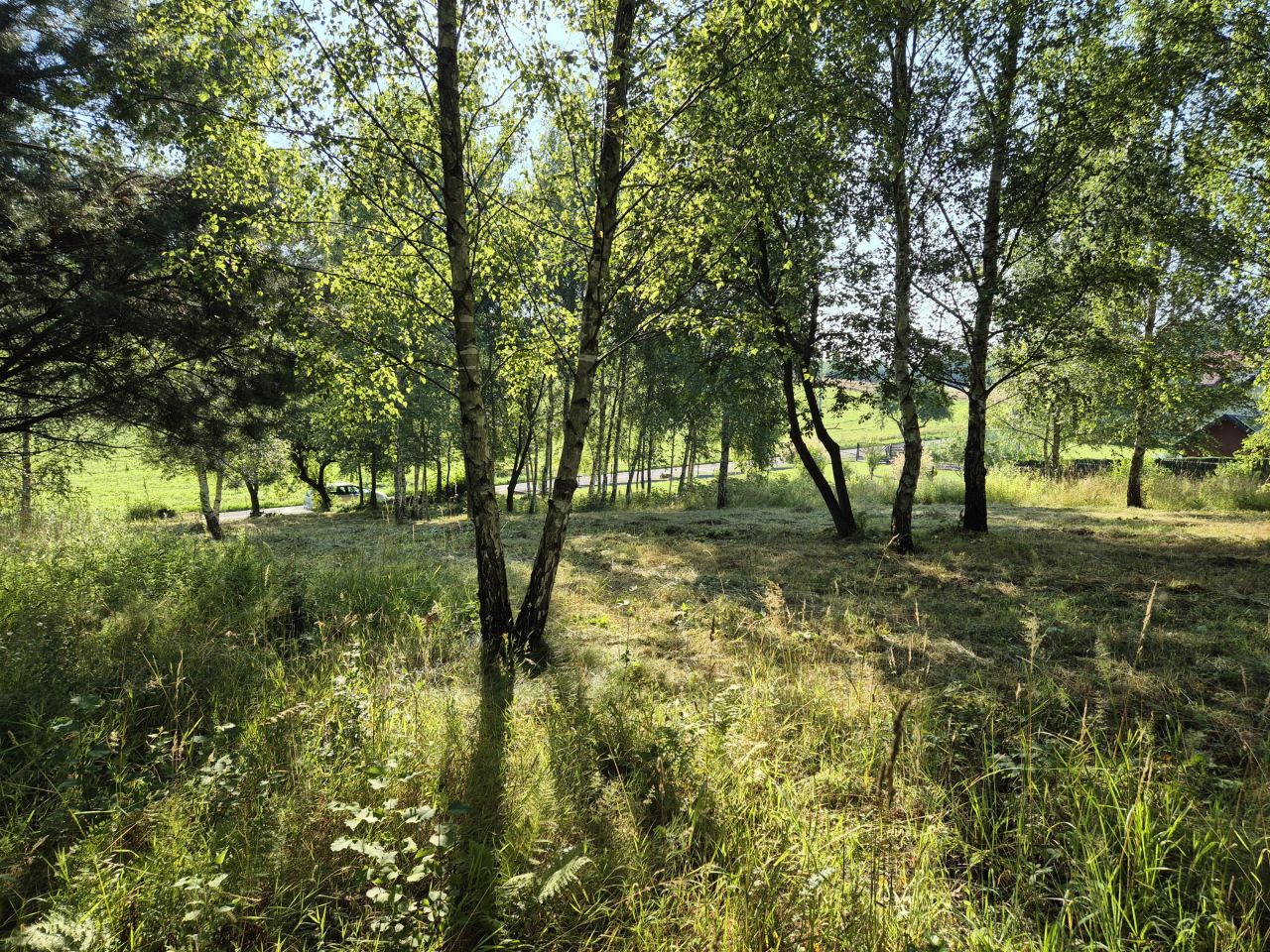 Działka rolno-budowlana Olchowa. Zdjęcie 4