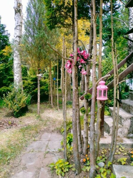 Działka rekreacyjna Kamieńczyk. Zdjęcie 8