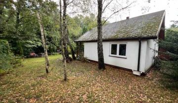 Działka rod Masłów Pierwszy