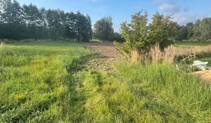 Działka budowlana Głogów Małopolski, ul. Zbożowa