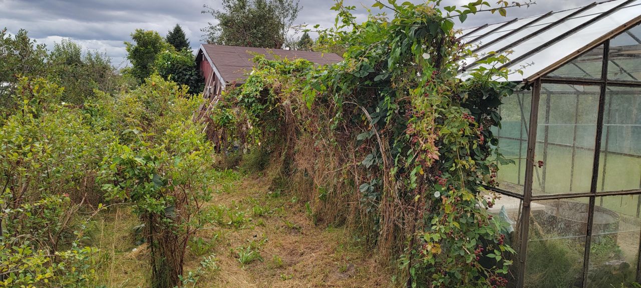 Działka rod Słupsk, ul. Gdańska. Zdjęcie 7