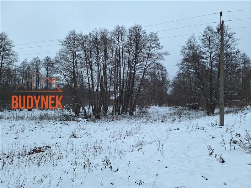 Działka rolna Przystawy. Zdjęcie 11