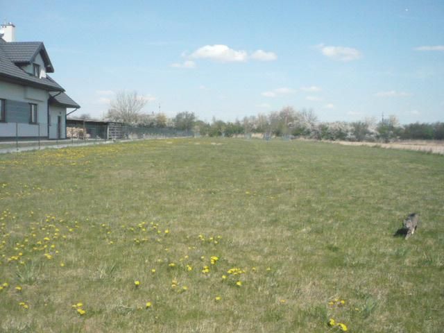 Działka budowlana Nowy Krępiec, ul. Kasztanowa