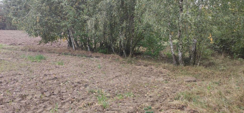 Działka budowlana Brzeg. Zdjęcie 6