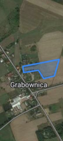 Działka rolno-budowlana Grabownica. Zdjęcie 1