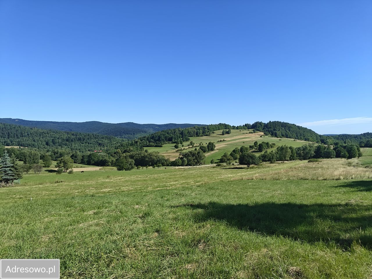 Działka budowlana Krzeszów