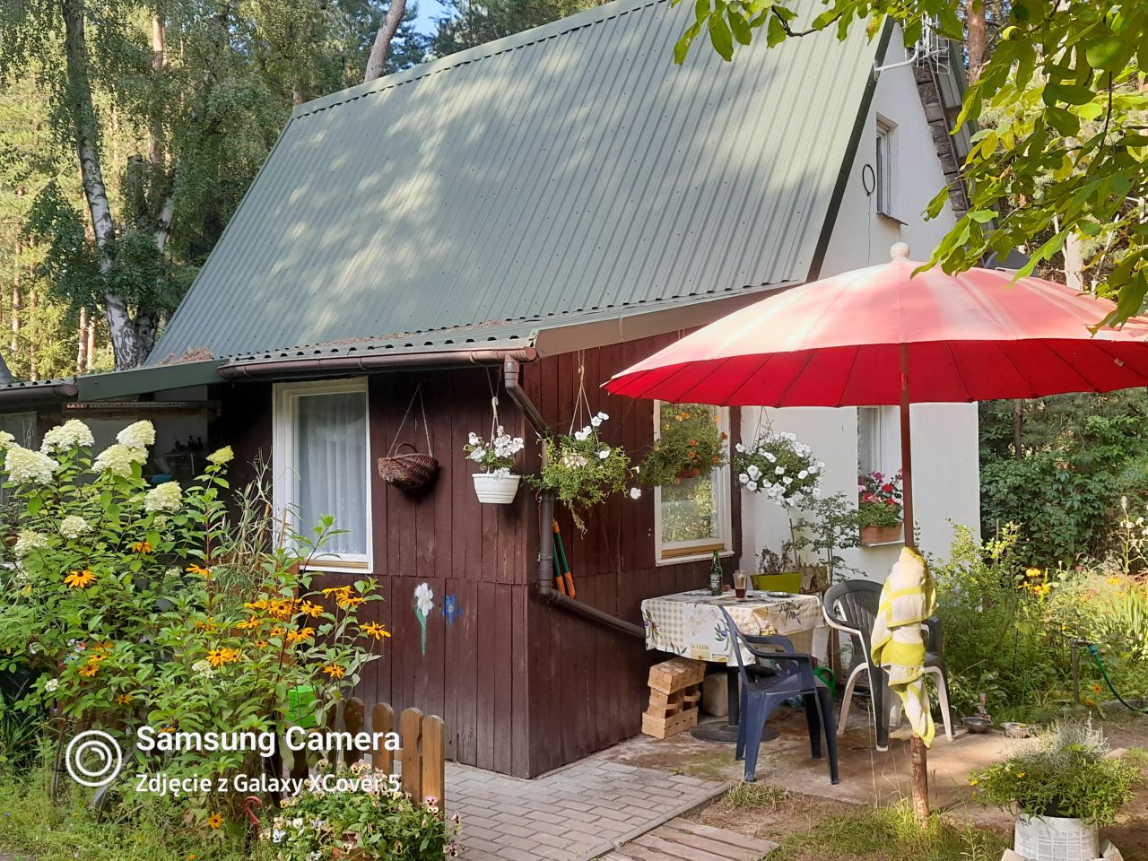 Działka rekreacyjna Zambski Kościelne. Zdjęcie 14