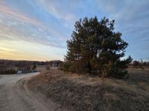 Działka rolno-budowlana Sznurki, Świerkowa. Zdjęcie 3