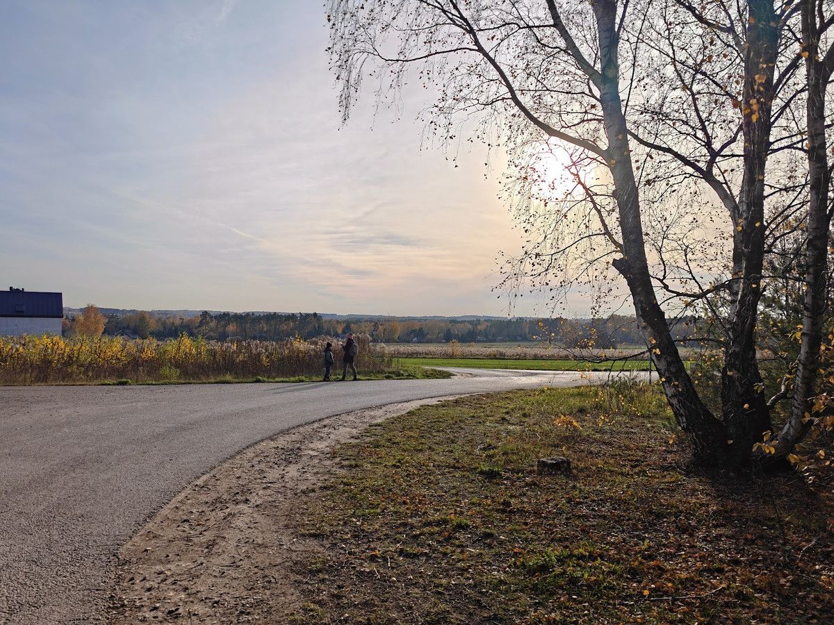 Działka budowlana Stare Skoszewy. Zdjęcie 3