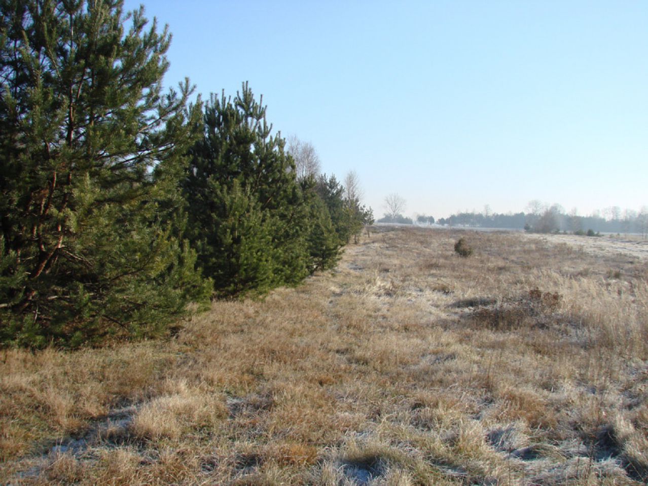 Działka rolno-budowlana Rędziny. Zdjęcie 7